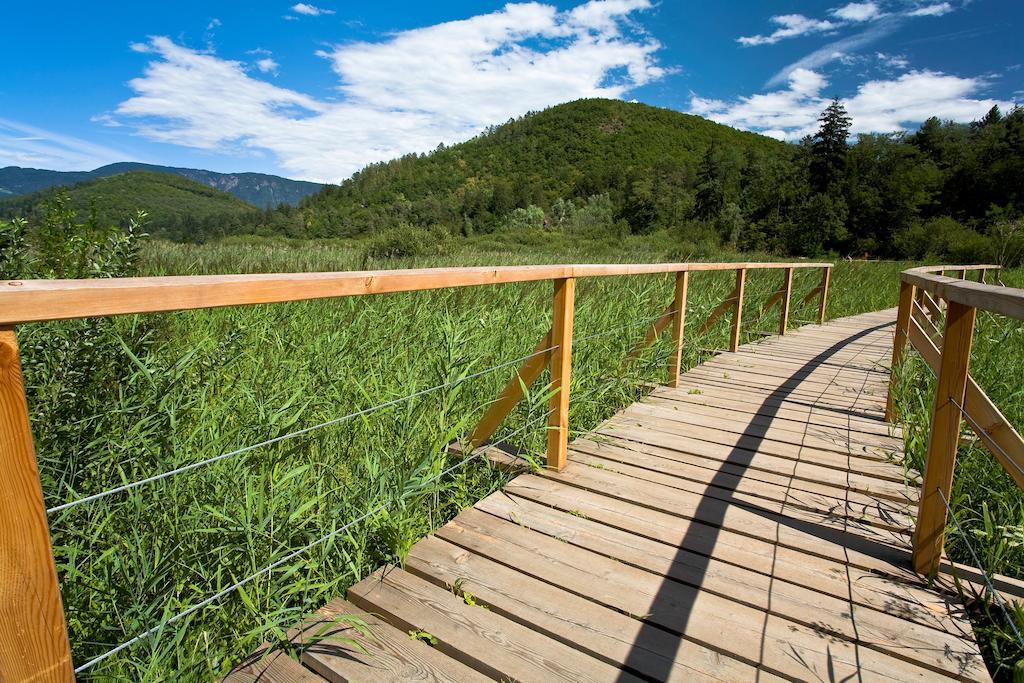Residence Haus Kalterersee Caldaro Εξωτερικό φωτογραφία